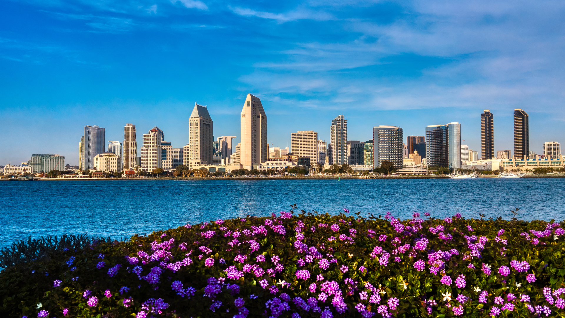 Nearby hotels at affordable rates in San Diego